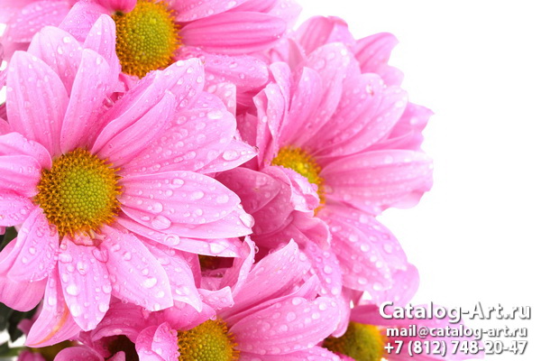 Натяжные потолки с фотопечатью - Розовые цветы 55